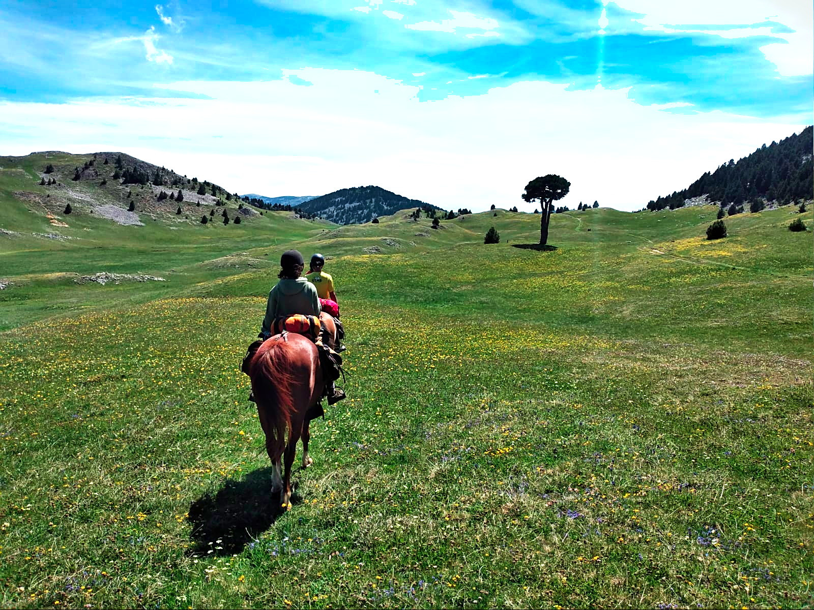 week-end à cheval sur les Hauts-Plateaux du Vercors